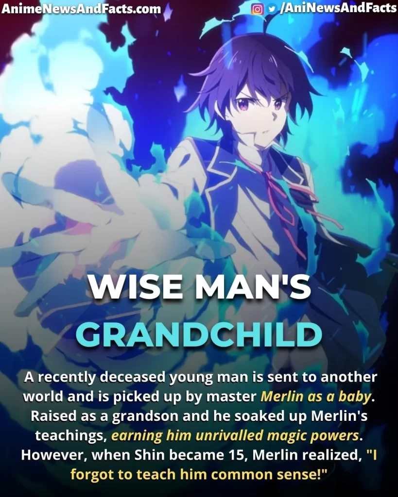 Wise Man's Grandchild anime summary
